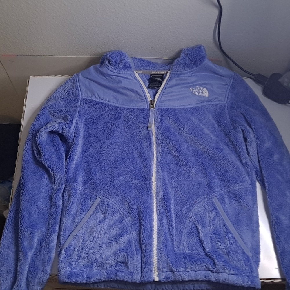Northface Purple Jacket